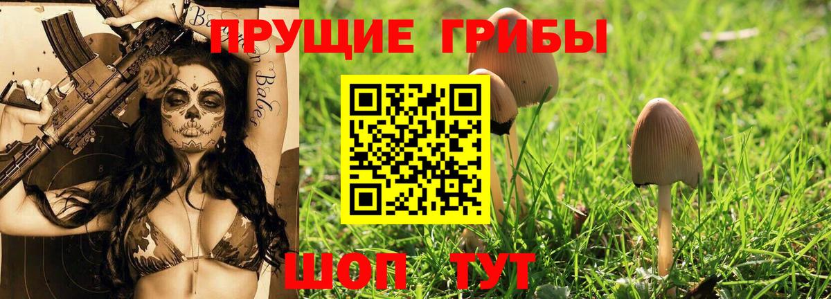 Псилоцибиновые грибы Psilocybe  Вход с VPN  даркнет сайт  Аргун 